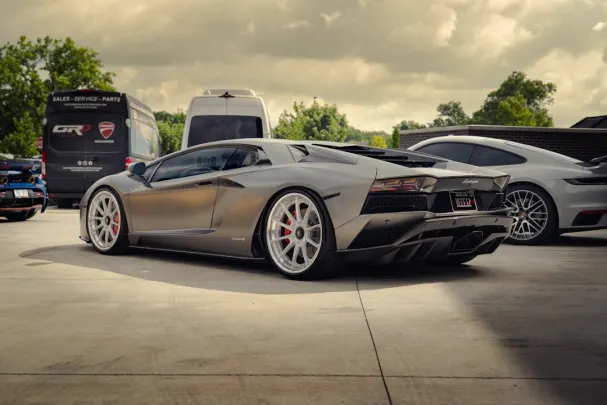 Dolly Casino App Android/iOS